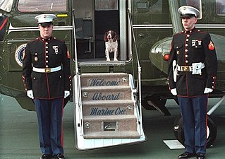 Spotty Fetcher de George W. Bush, a la porta del Marine One.