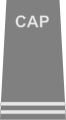 Civil Air Patrol rank insignia of a technical flight officer.