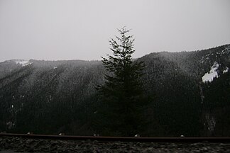 Cascade Range near Mount Hood