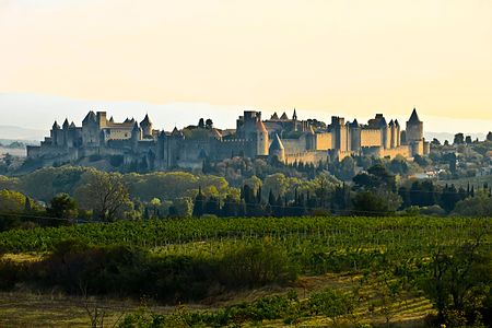 Cité de Carcassonne par Meria Geoian