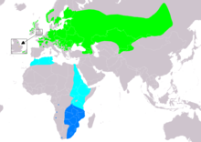 Map showing the breeding regions of Crex crex (most of Europe and South-Siberian Russia up to Mongolia), and their winter migration region (South-West Africa).
