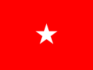 Flag of an Army Brigadier general