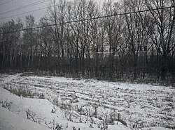 Landscape at the railway station of Ozerovo in the east of the district