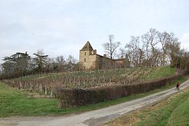 Chateau of Reveillon in Mirepoix