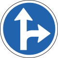 Turn right or straight