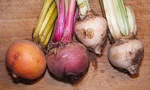 Golden, red, and white beetroots (left to right)