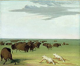 Bison hunt under the wolf-skin mask, 1832–33