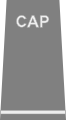 Civil Air Patrol rank insignia of a flight officer.