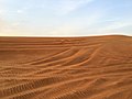 Thumbnail for Arabian Desert