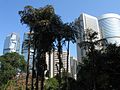 Hong Kong Park is surrounded by skyscrapers in the highly urbanised central business district