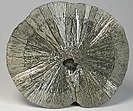 Radiating form of pyrite