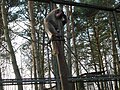 Małpa – ZOO w Bydgoszczy.