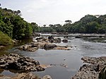 River lined by tropical vegetation. Many stones are found in the river.