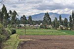 Thumbnail for File:Ecuador Oyambaro agri landscape 01.jpg