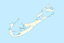 Bermudo (Bermudo)