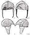 Filippovka 1, iron helmets from mound 11