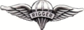 Parachute Rigger Badge*