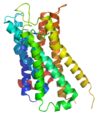 ドーパミンD３受容体の構造（エチクロプリドとの複合体）