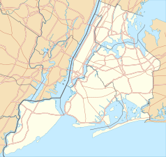 Mapa konturowa Nowego Jorku, u góry nieco na prawo znajduje się punkt z opisem „Tremont Avenue”