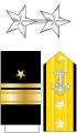 Rear admiral (צי ארצות הברית)[21]