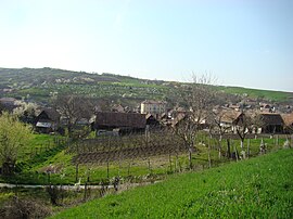 View of Cucerdea