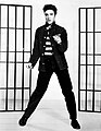A black and white photograph of Elvis Presley standing between two sets of bars