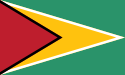 Guyanaको झण्डा
