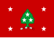 Tennessee kormányzói zászlaja