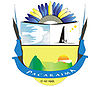 Official seal of Pacaraima