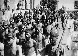Mappilas captured after a battle with colonial troops, during the Malabar Rebellion.