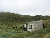 Antipodes Subantarctic Islands tundra, a tundra community
