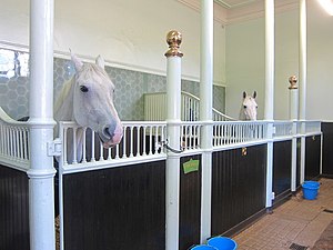 At the Royal Mews stables (2012)