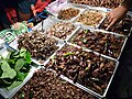 Insect vendor in Bangkok
