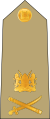 Lieutenant general[29] (Kenya Army)