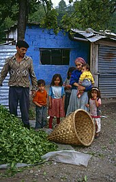 Man, woman and four young children with a large basket and heap of green leaves, in front of a small building