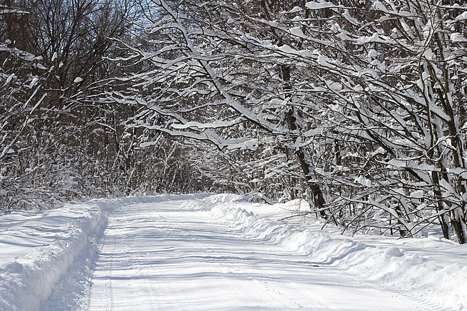 烏克蘭小鎮索松卡通往M21公路基輔-文尼察的路段的小路被大雪覆蓋。