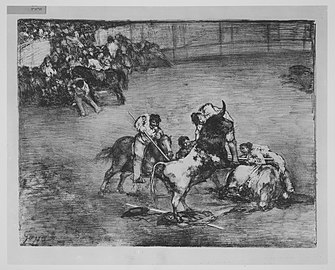 A picador caught by a bull