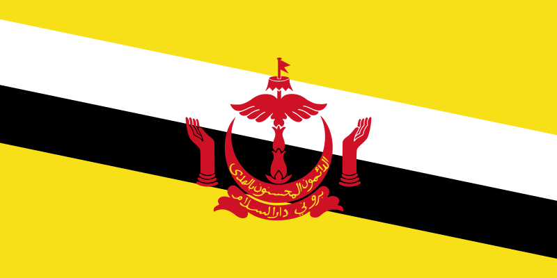 فائل:Flag of Brunei.svg