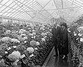 Sec. Jardine & Mrs. Coolidge at Chrysanthemum show, 1925