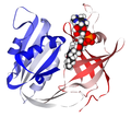 NADH cytochrome b5-reductase (methemoglobin reductase) with FAD bound