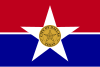 Bendera Dallas, Texas