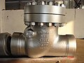 Large carbon steel swing check valve