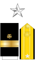 The collar star, shoulder boards, and sleeve stripes of a U.S. Public Health Service rear admiral (lower half)