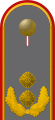 Generalmajor (German Army)[27]