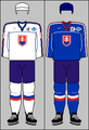 2004 WCH jerseys