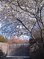ワシントンDCの FDRメモリアルの人工滝