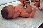 Thumbnail for Pediatrics