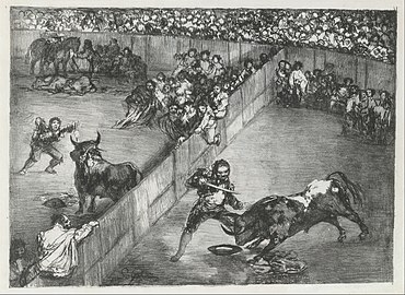 Bullfight in a divided ring.