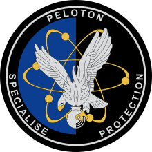 Image illustrative de l’article Peloton spécialisé de protection de la Gendarmerie