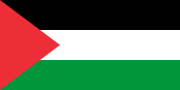 Thumbnail for Palestine national football team